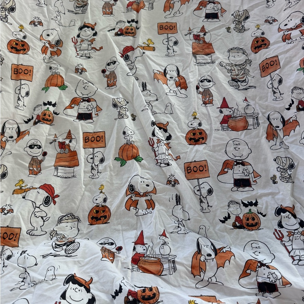 Pottery Barn kids Peanuts Snoopy HALLOWEEN sheet - Picture 2 of 5